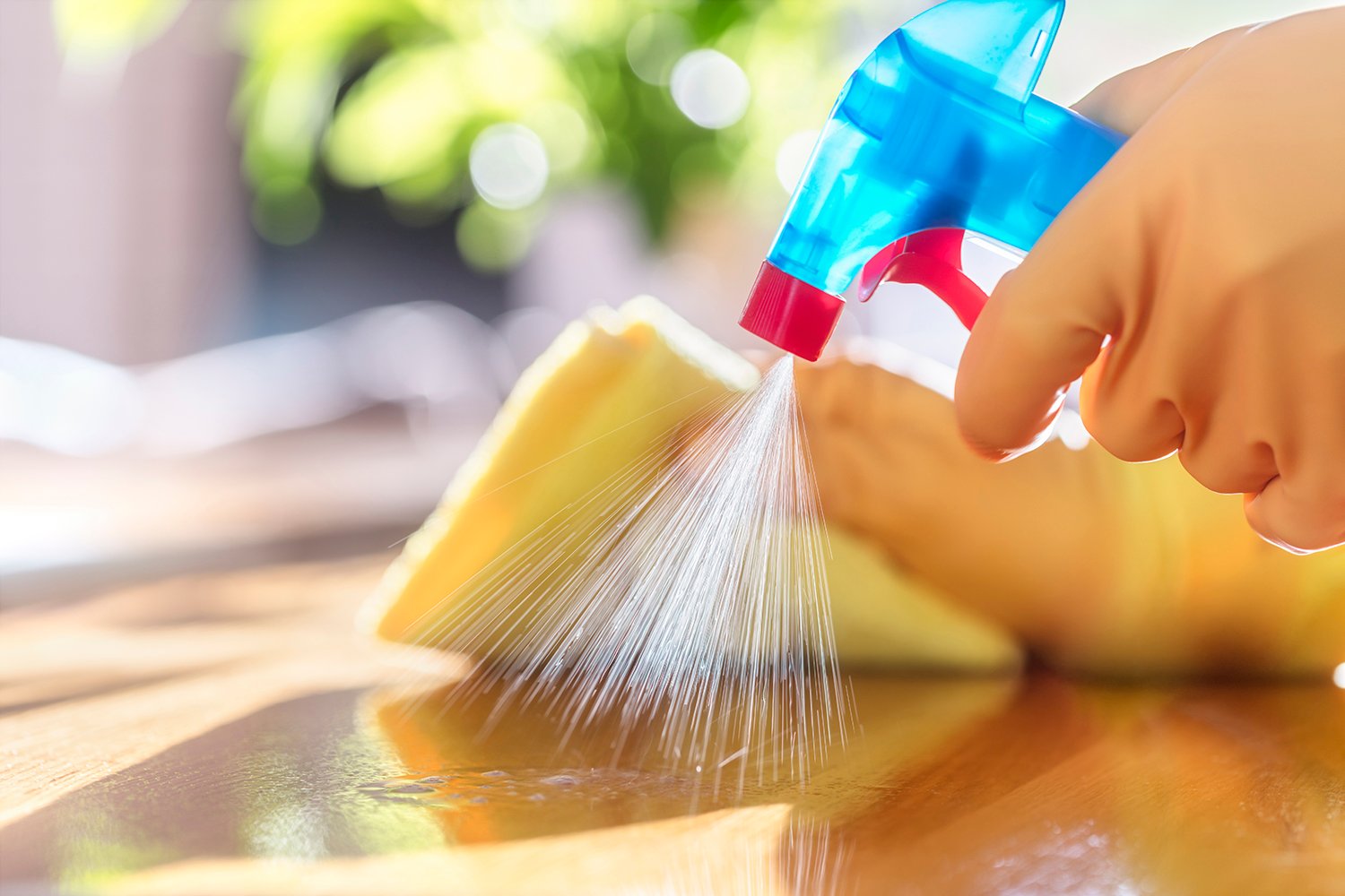 Sanitization Services